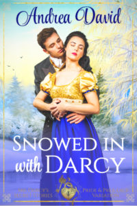 Book Cover: Snowed in with Darcy